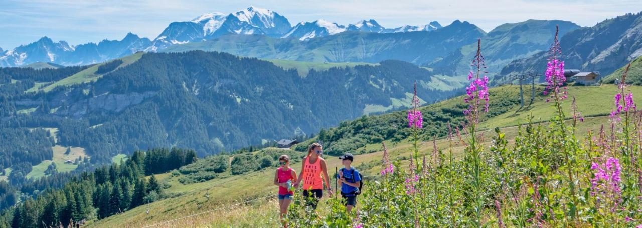 Apartmán Fleur Des Montagnes Praz-sur-Arly Exteriér fotografie